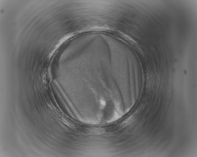 X0000053131170200508012210