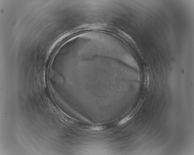 X0000053131174200508012210