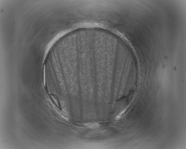 X0000053131175200508012210