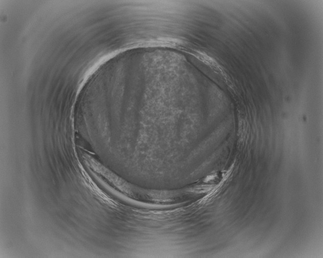 X0000053131184200508012209