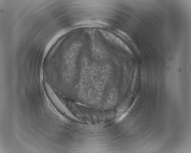 X0000053131188200508012209
