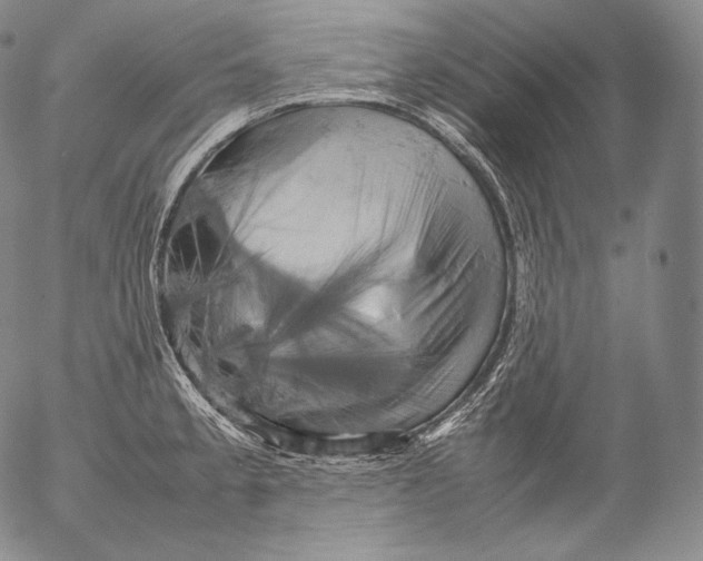 X0000053131189200508012209