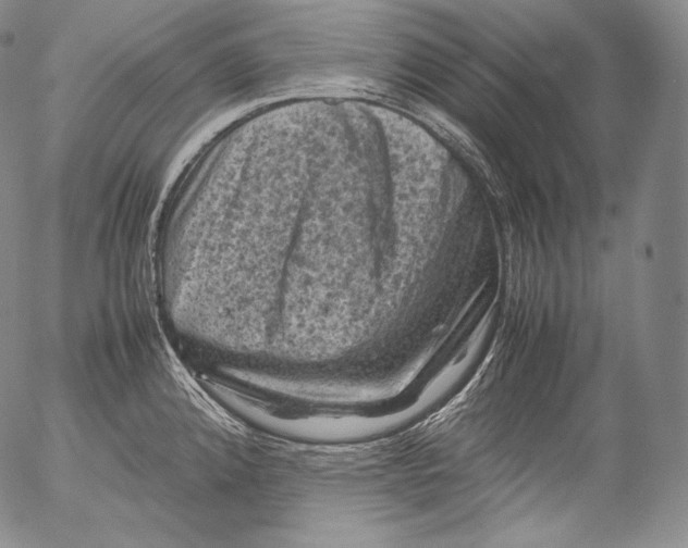 X0000053131192200508012209