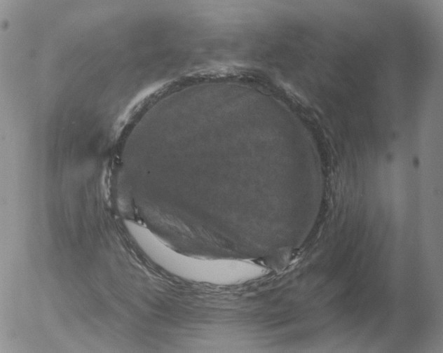 X0000053131206200508012208