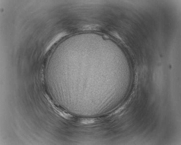 X0000053131211200508012208