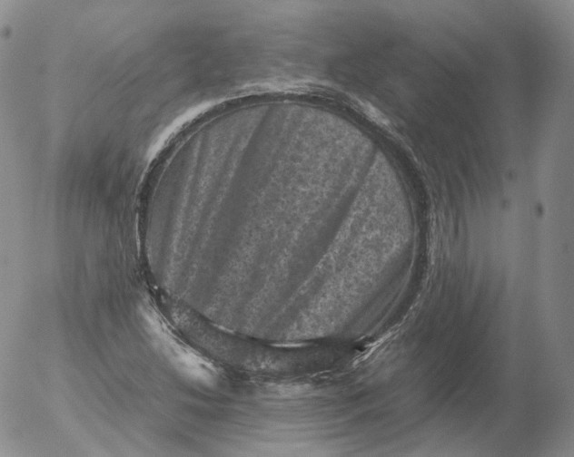 X0000053131214200508012209