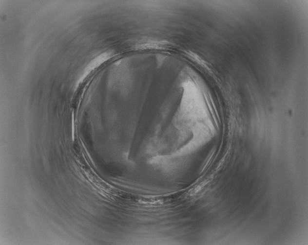 X0000053131219200508012209
