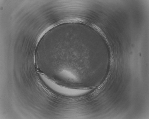 X0000053131226200508012209