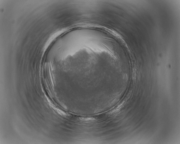 X0000053131231200508012209