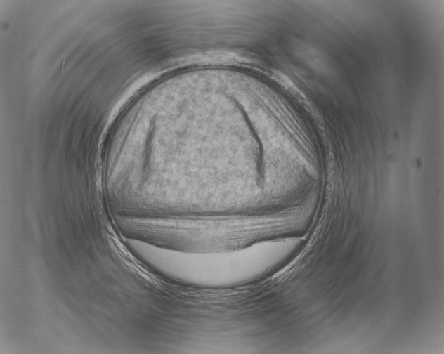 X0000053131232200508012209