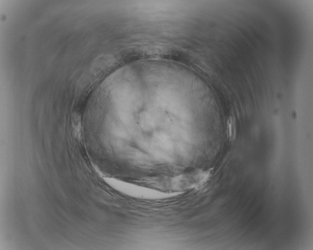 X0000053131251200508012208