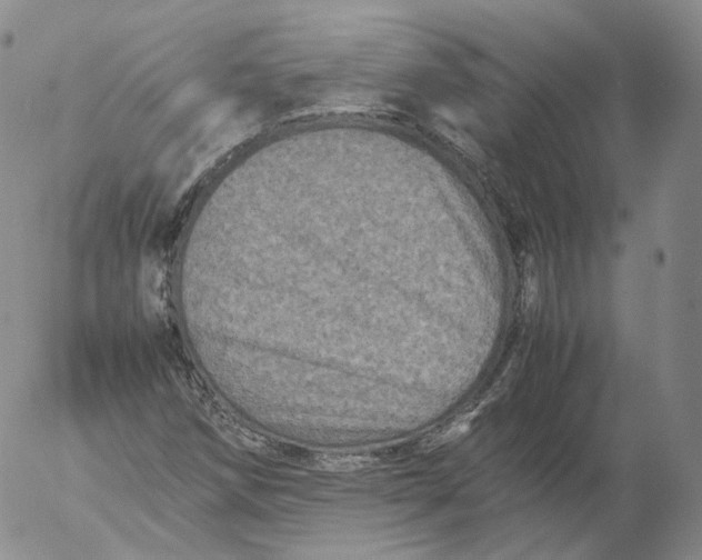 X0000053131258200508012208