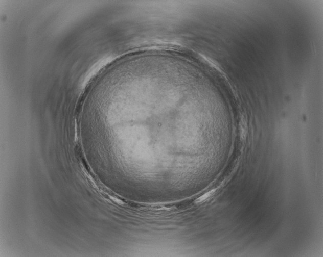 X0000053131267200508012208