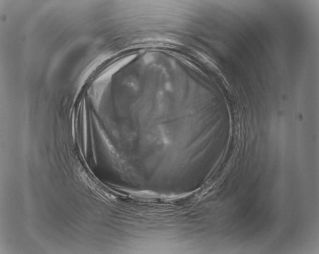 X0000053131275200508012208