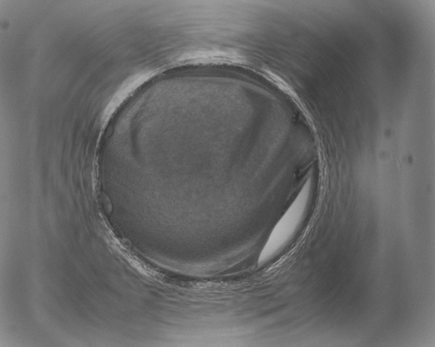 X0000053131277200508012208