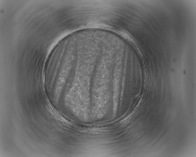 X0000053131280200508012208