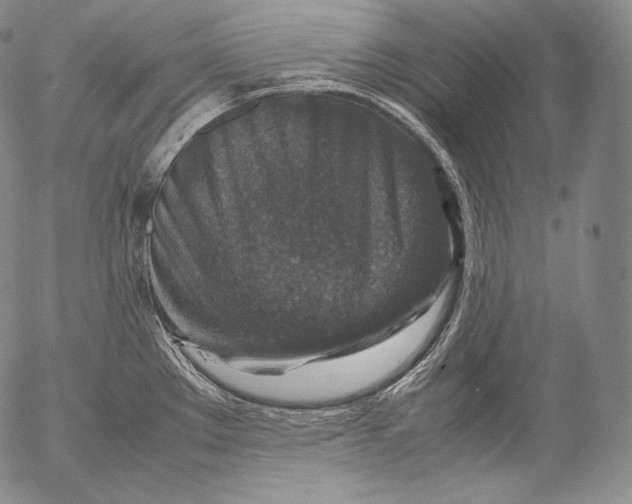 X0000053131289200508012208