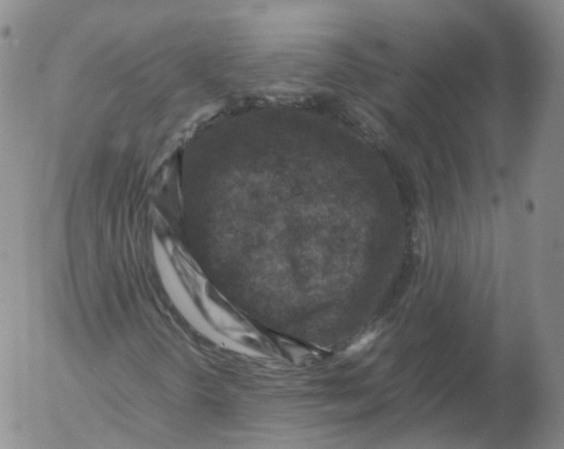 X0000053131298200508012207