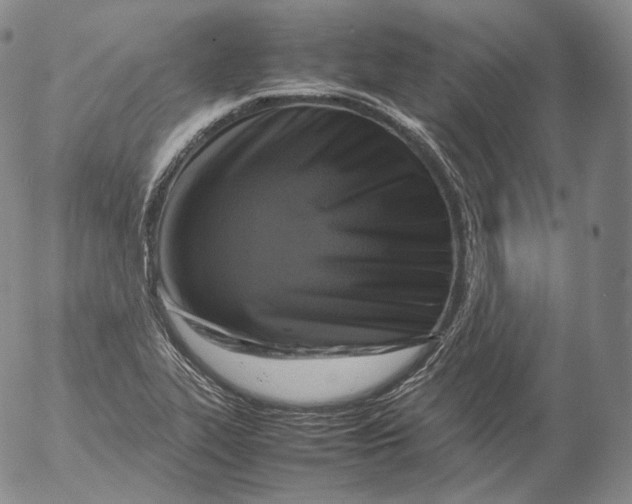 X0000053131319200508012207