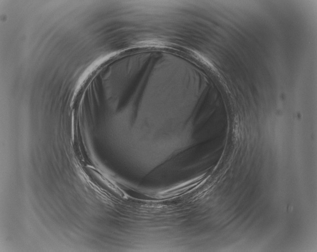 X0000053131323200508012207
