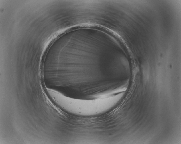 X0000053131327200508012207