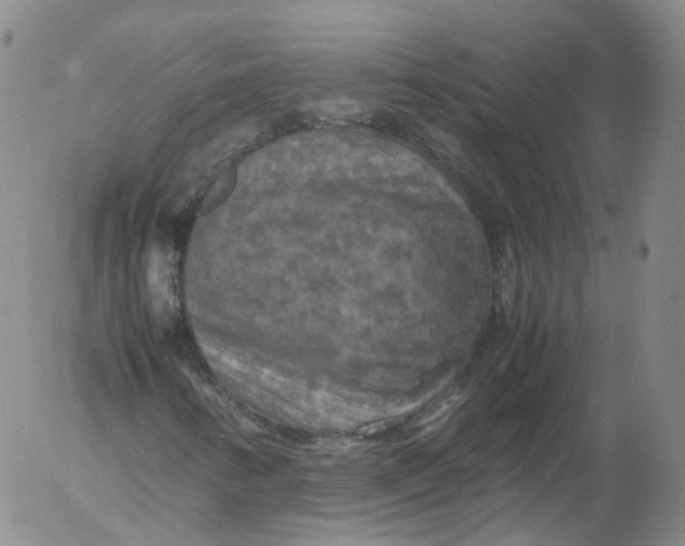X0000053131346200508012207
