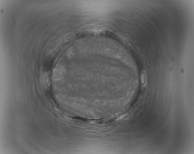 X0000053131347200508012207