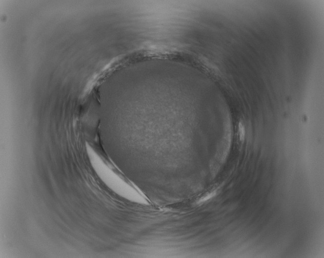 X0000053131348200508012207