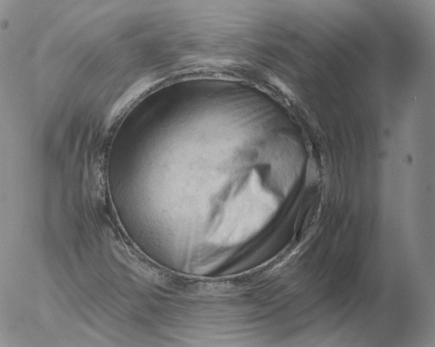 X0000053131354200508012207