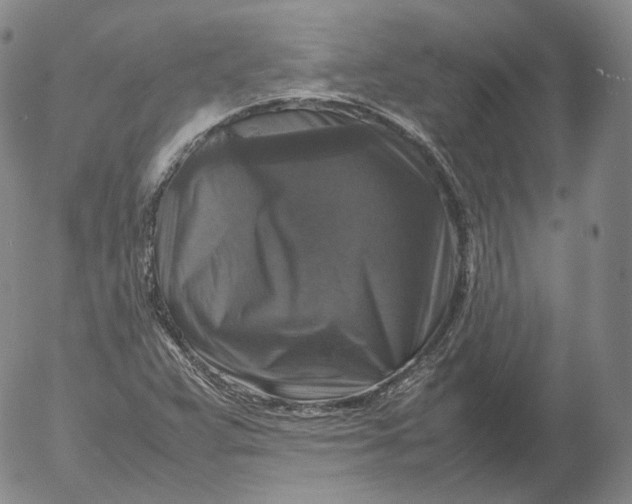X0000053131359200508012206