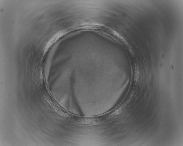 X0000053131362200508012206