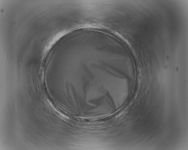 X0000053131367200508012206