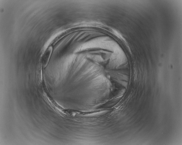 X0000053131368200508012206