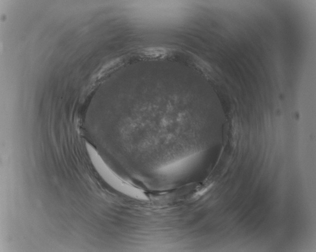 X0000053131394200508012205
