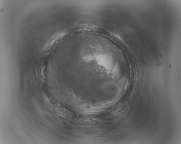 X0000053131399200508012205