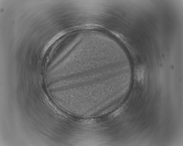 X0000053131410200508012205