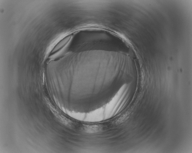 X0000053131413200508012205