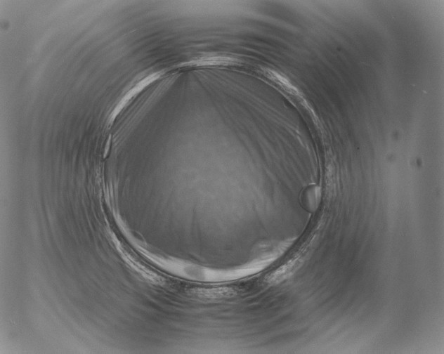 X0000053131425200508012206