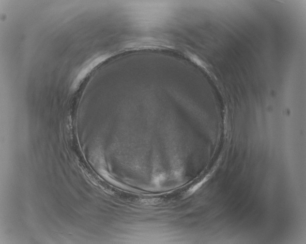 X0000053131453200508012205