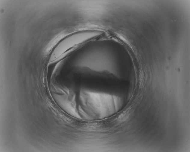 X0000053131455200508012205