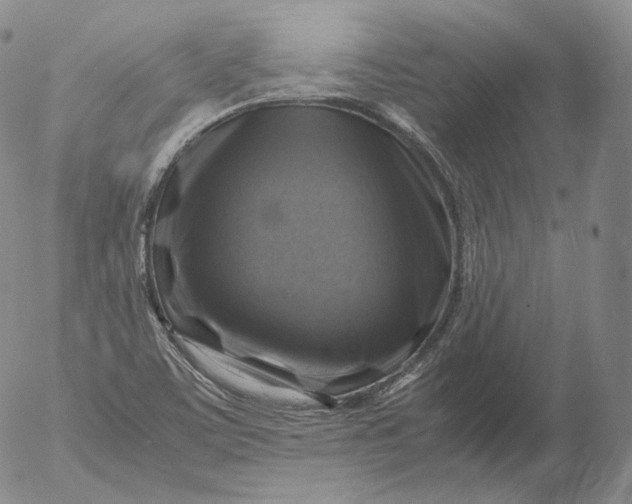 X0000053131459200508012205