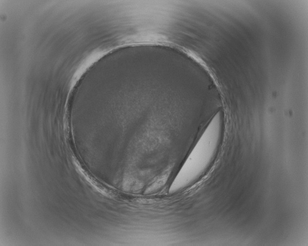 X0000053131469200508012205