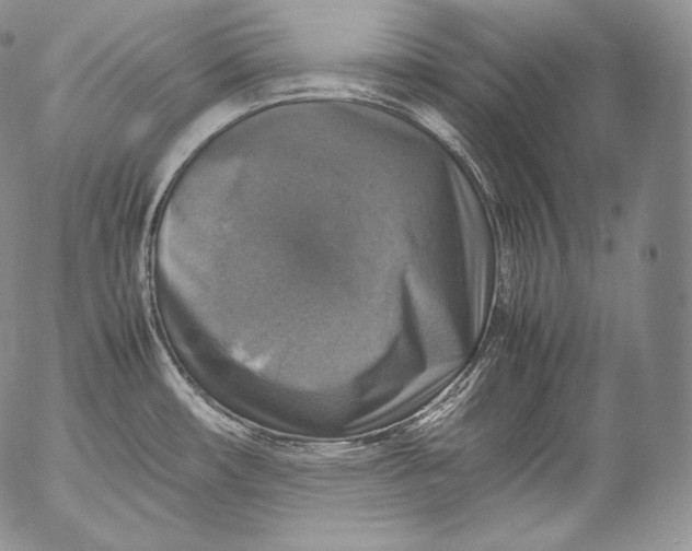 X0000053131482200508012204