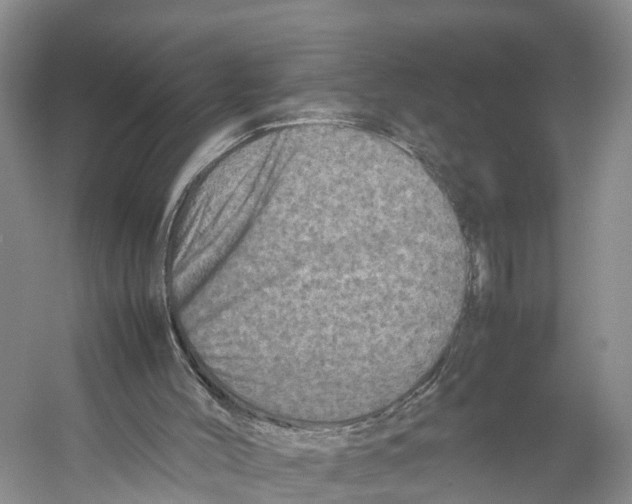 X0000053130004200508081330