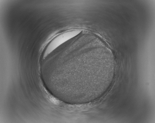 X0000053130005200508081330