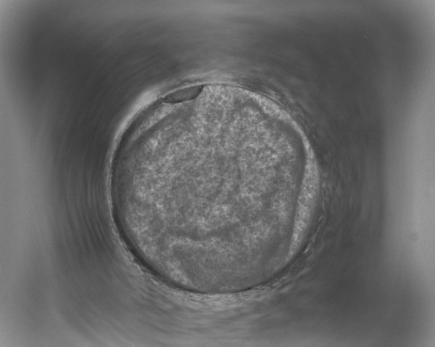 X0000053130006200508081330