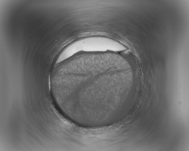 X0000053130013200508081330