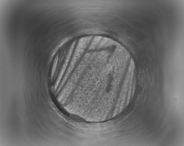 X0000053130015200508081330