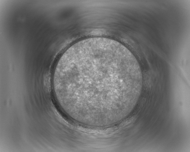 X0000053130016200508081330