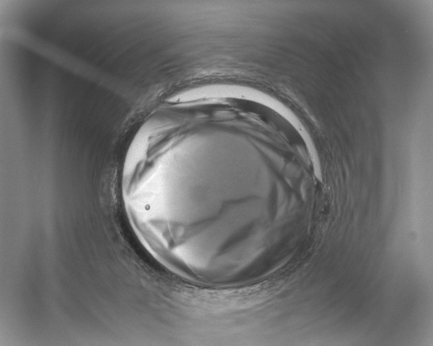 X0000053130023200508081330